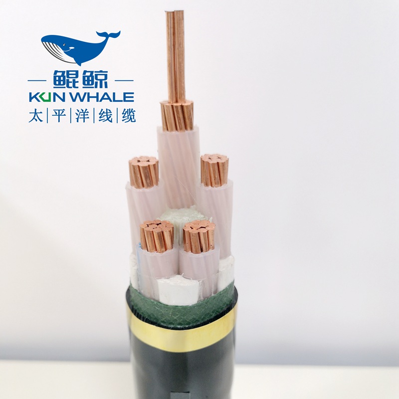 50平方低壓電力電纜，低壓電纜，電力電纜-太平洋線纜